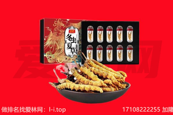 江州区回收虫草.jpg